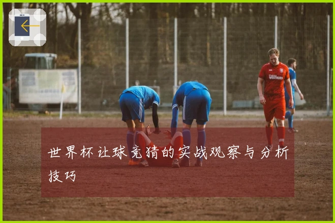 世界杯让球竞猜的实战观察与分析技巧