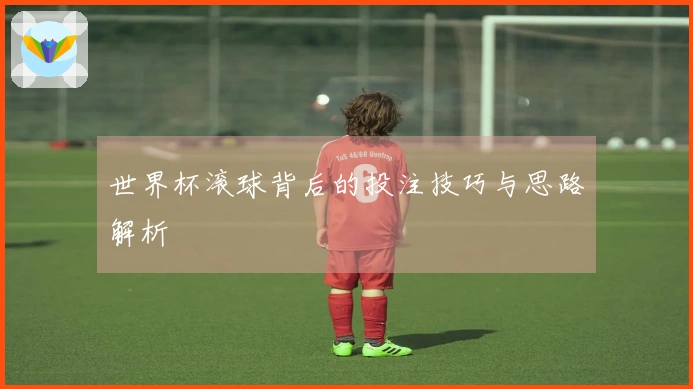 世界杯滚球背后的投注技巧与思路解析