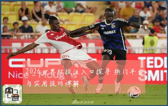 2026世界杯投注入口探寻 热门平台与实用技巧详解