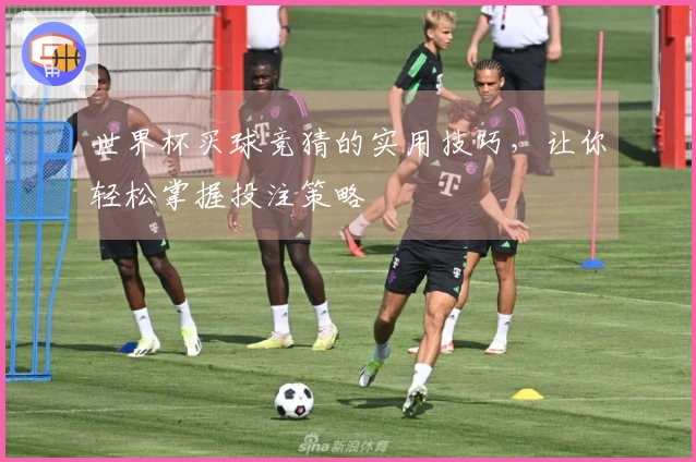 世界杯买球竞猜的实用技巧，让你轻松掌握投注策略