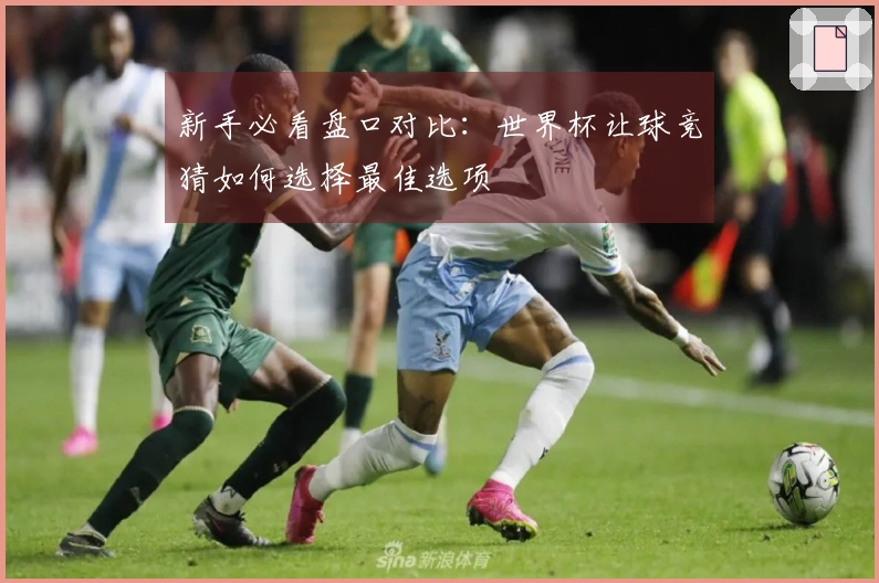新手必看盘口对比：世界杯让球竞猜如何选择最佳选项