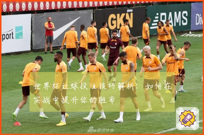 世界杯让球投注技巧解析：如何在实战中提升你的胜率