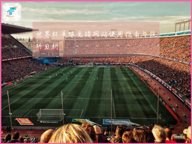 世界杯滚球竞猜网站使用指南与技巧分析